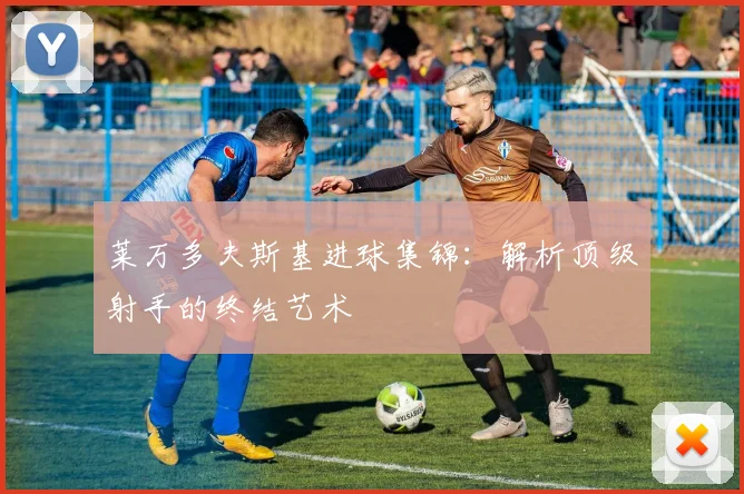莱万多夫斯基进球集锦：解析顶级射手的终结艺术